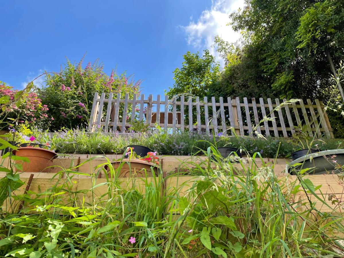 Tilly'S Cottage Westbury  Zewnętrze zdjęcie